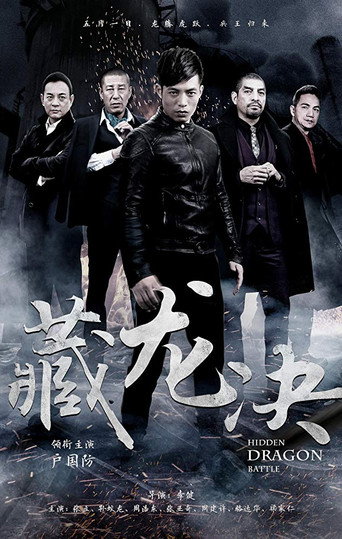 Hidden Dragon Battle movie poster