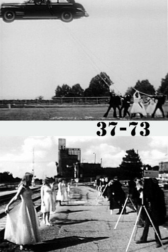 37-73 movie poster