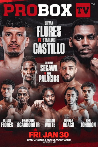 Bryan Flores vs. Starling Castillo movie poster
