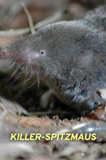 Killer Shrew movie poster