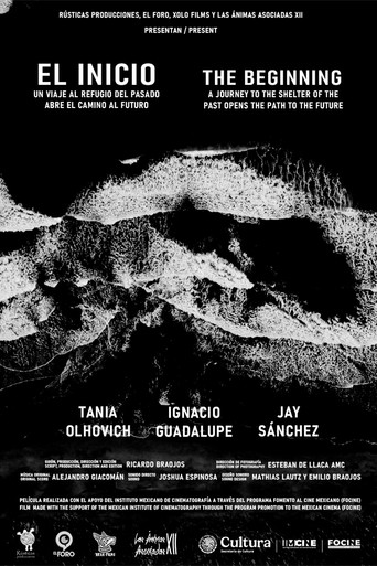 The Beginning movie poster