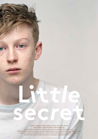 Little Secret movie poster