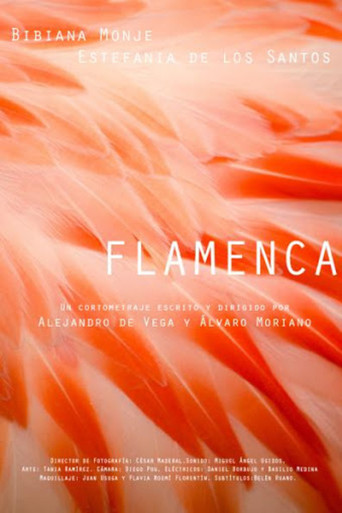 Flamenca movie poster