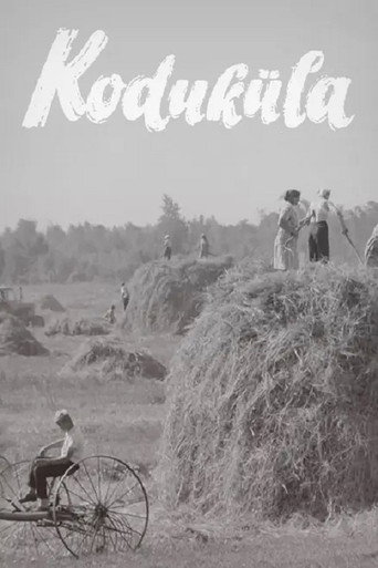 Koduküla movie poster