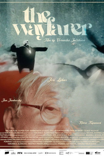The Wayfarer movie poster