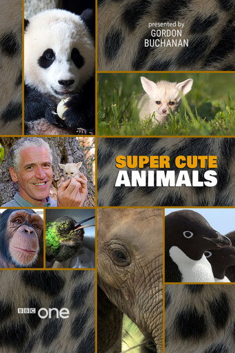 Super Cute Animals movie poster