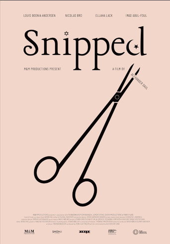 Snipped movie poster
