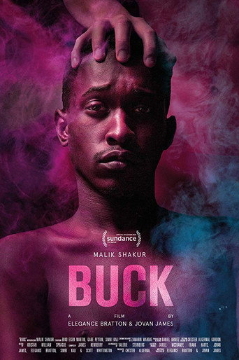 Buck movie poster