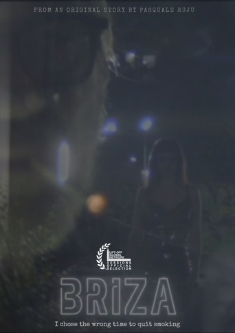 Briza movie poster