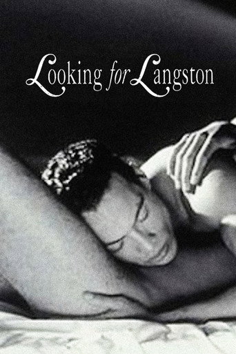 Looking for Langston movie poster