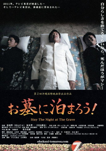 Stay the Night at the Grave movie poster