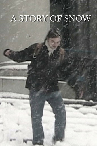 A Story of Snow movie poster
