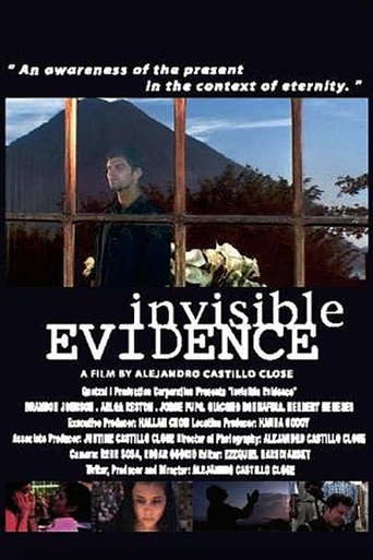 Invisible Evidence movie poster