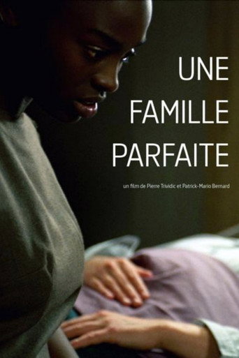 Une famille parfaite movie poster