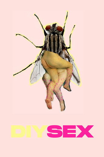 DIYSEX movie poster