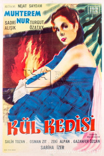 Kül Kedisi movie poster