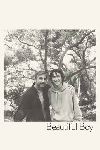 Beautiful Boy movie poster