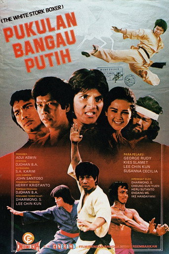 The Fierce Boxer movie poster