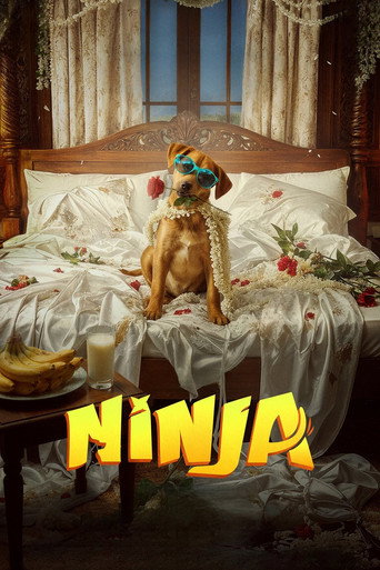 Ninja movie poster