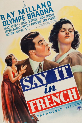 Say It in French movie poster
