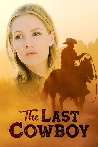 The Last Cowboy movie poster