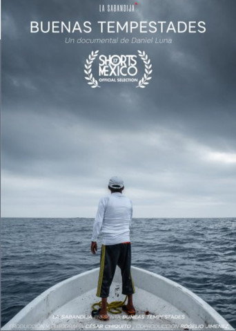 Good Storms movie poster