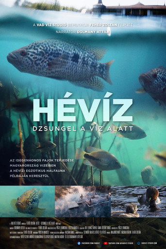 The Underwater Jungle movie poster