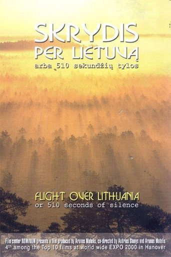 Flight Over Lithuania or 510 Seconds of Silence movie poster