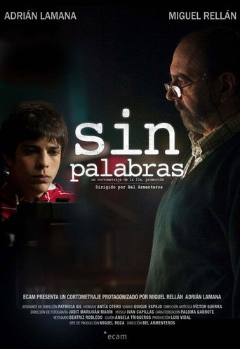 Sin palabras movie poster