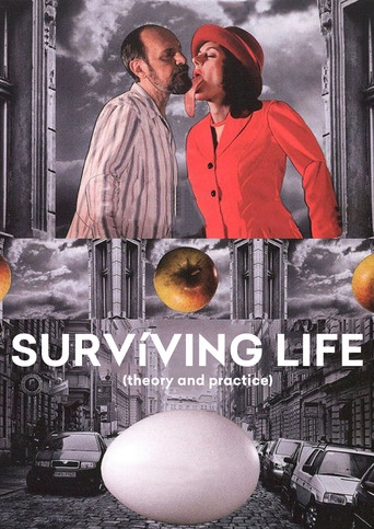Surviving Life (Theory and Practice) movie poster