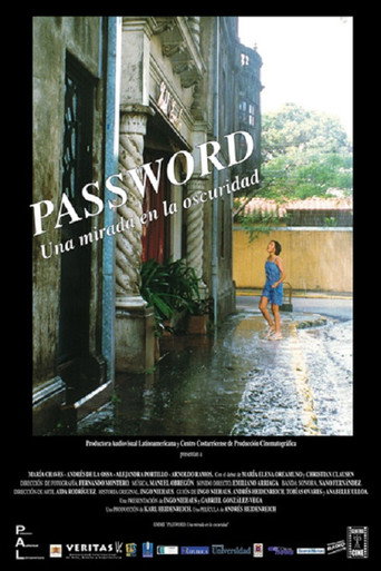 Password movie poster