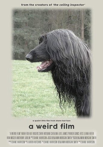 A Weird Film movie poster