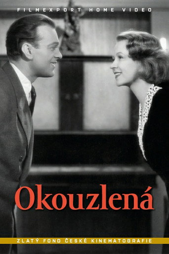 Okouzlená movie poster