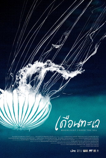 Moonlight under the Sea movie poster