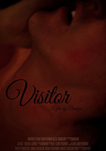 Visitor movie poster