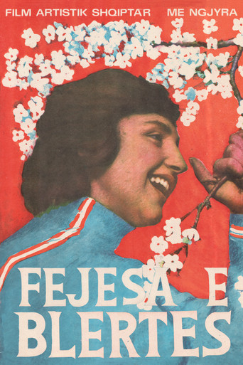 Blerta's Engagement movie poster