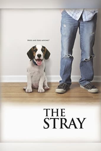 The Stray movie poster