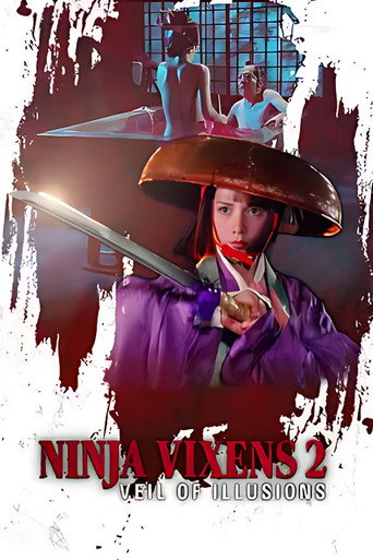 The Ninja Vixens II: Veil of Illusions movie poster