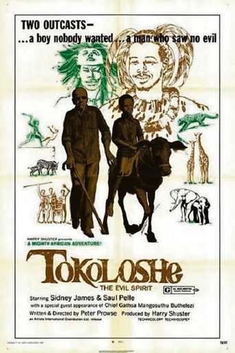 Tokoloshe movie poster