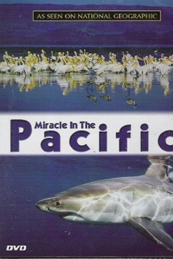 Miracle in the Pacific movie poster
