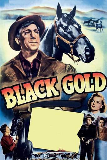 Black Gold movie poster