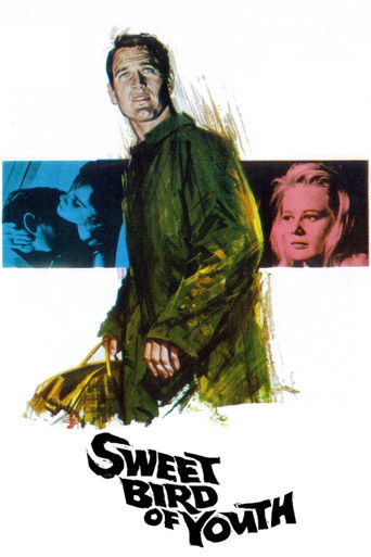 Sweet Bird of Youth movie poster