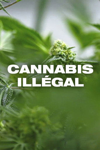 Cannabis illégal movie poster