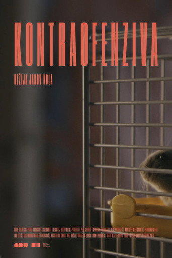 Counter-offensive movie poster