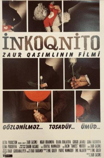 Incognito movie poster