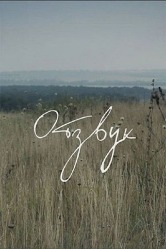Echo movie poster