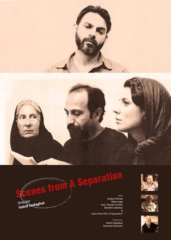 Scenes from A Separation movie poster