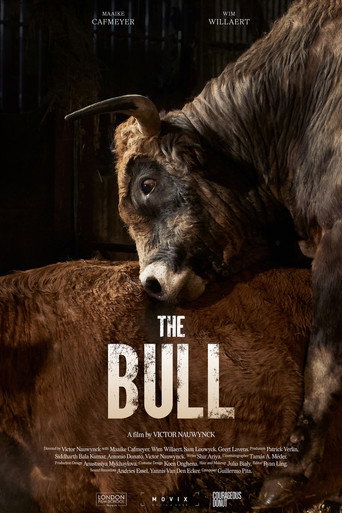 The Bull movie poster