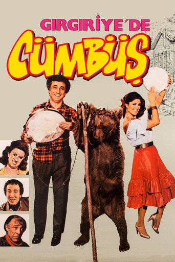 Festivity in Gırgıriye movie poster