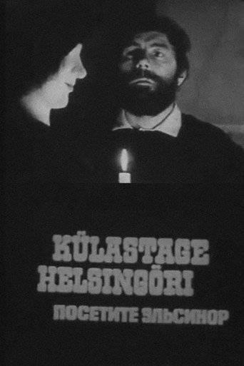 Visit the Elsinore movie poster